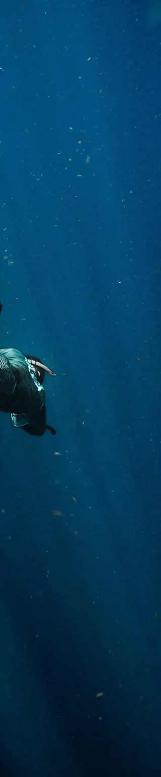 Tauche an einer der schönsten Steilwände